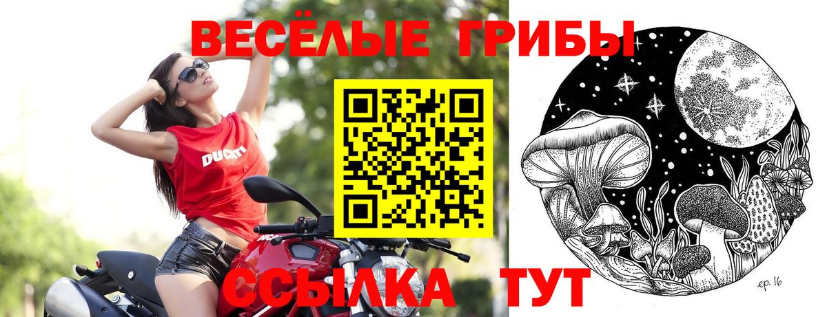 Галлюциногенные грибы GOLDEN TEACHER  Вход с VPN  Котельники 