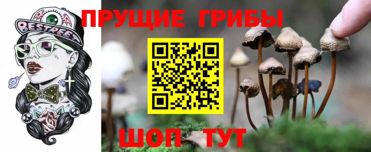 Псилоцибиновые грибы Psilocybe Котельники
