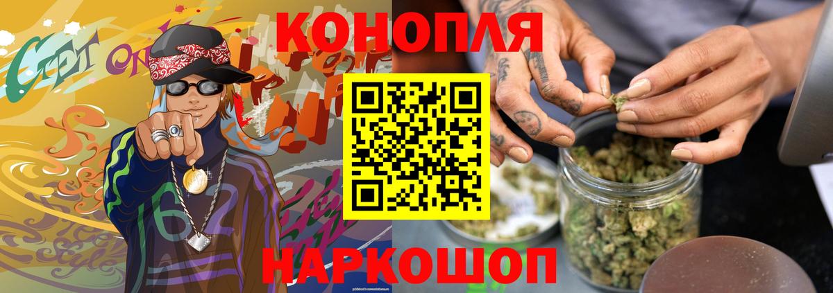 Бошки Шишки планчик Котельники